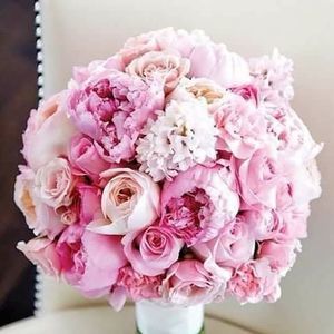 Meet your Posher, Matilde